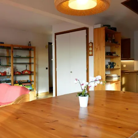 Skis Aux Pieds 6 Pers, Balcon Sud, Garage, Menage Inclus, 3* - Fr-1-241-171 * Le Grand-Bornand